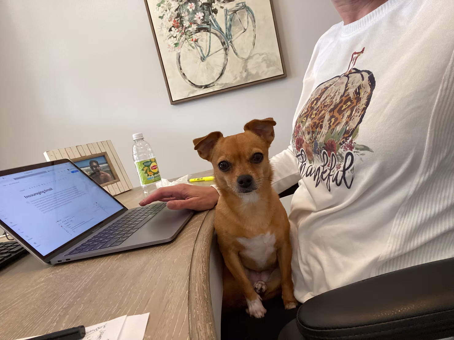 Working on laptop while dog sleeps in the lap