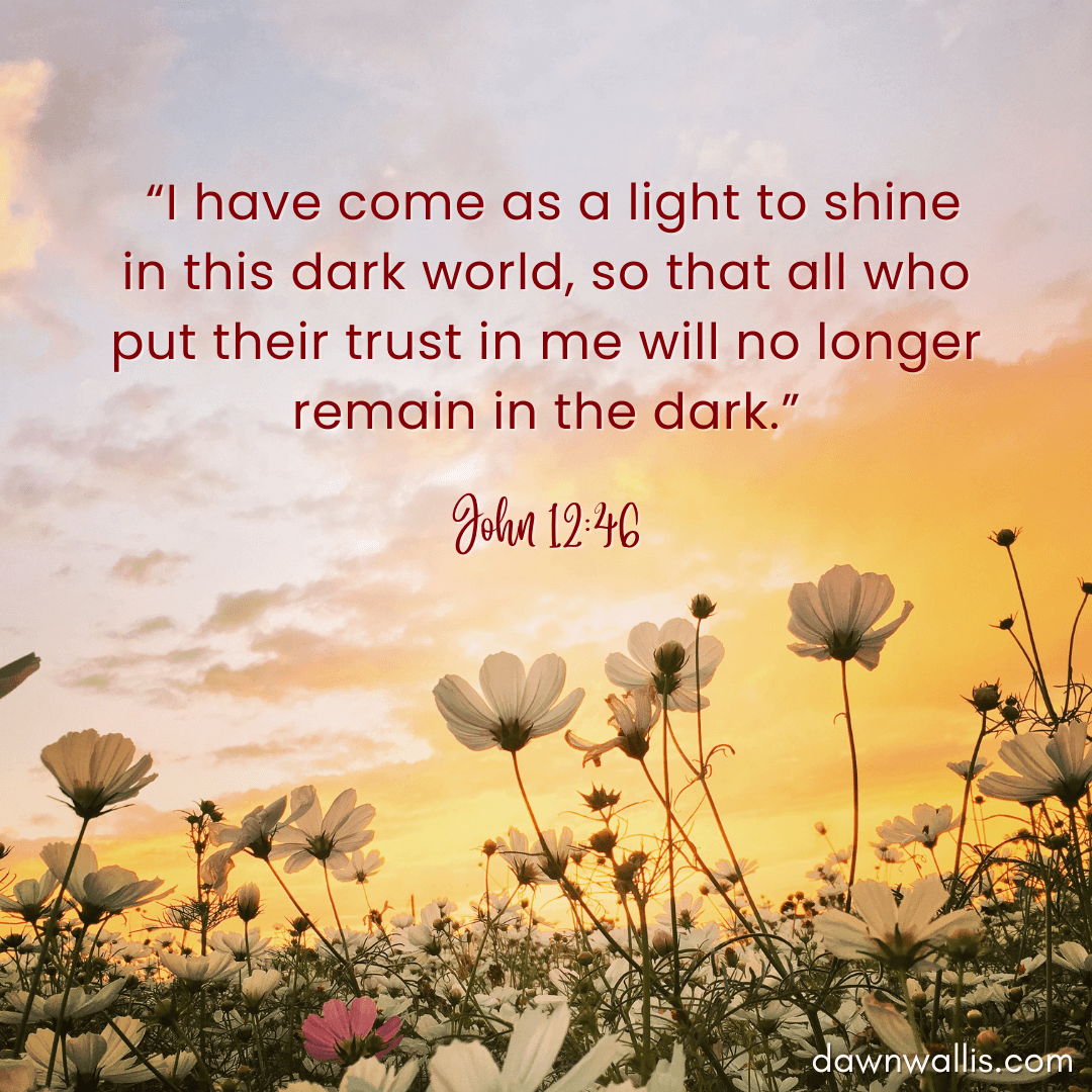 field of flowers with john 12:46