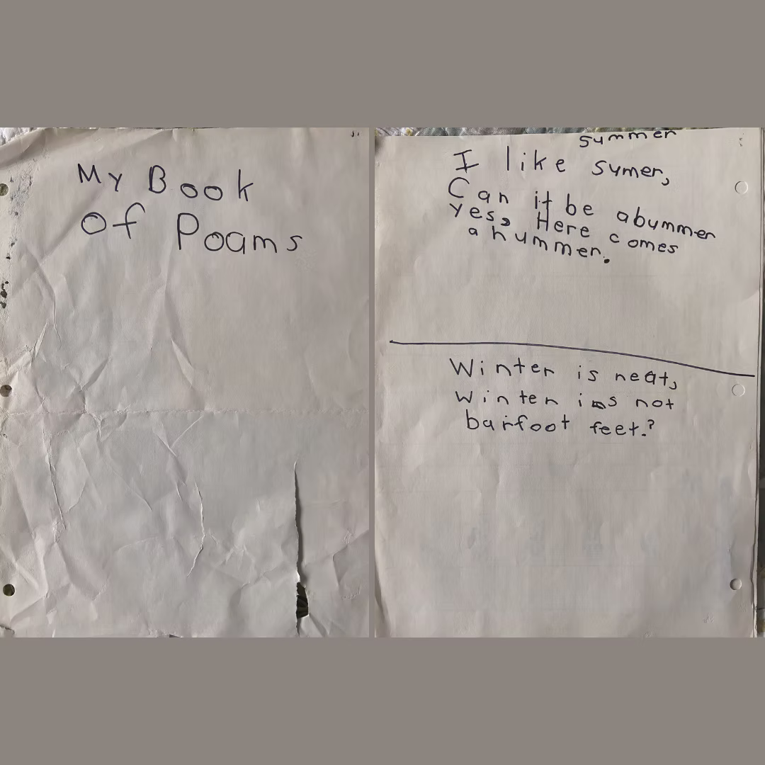 My book of poems - I like summer, can it be abummer yes, here comes a hummer. - Winter is neat, winter is not barefoot feet?