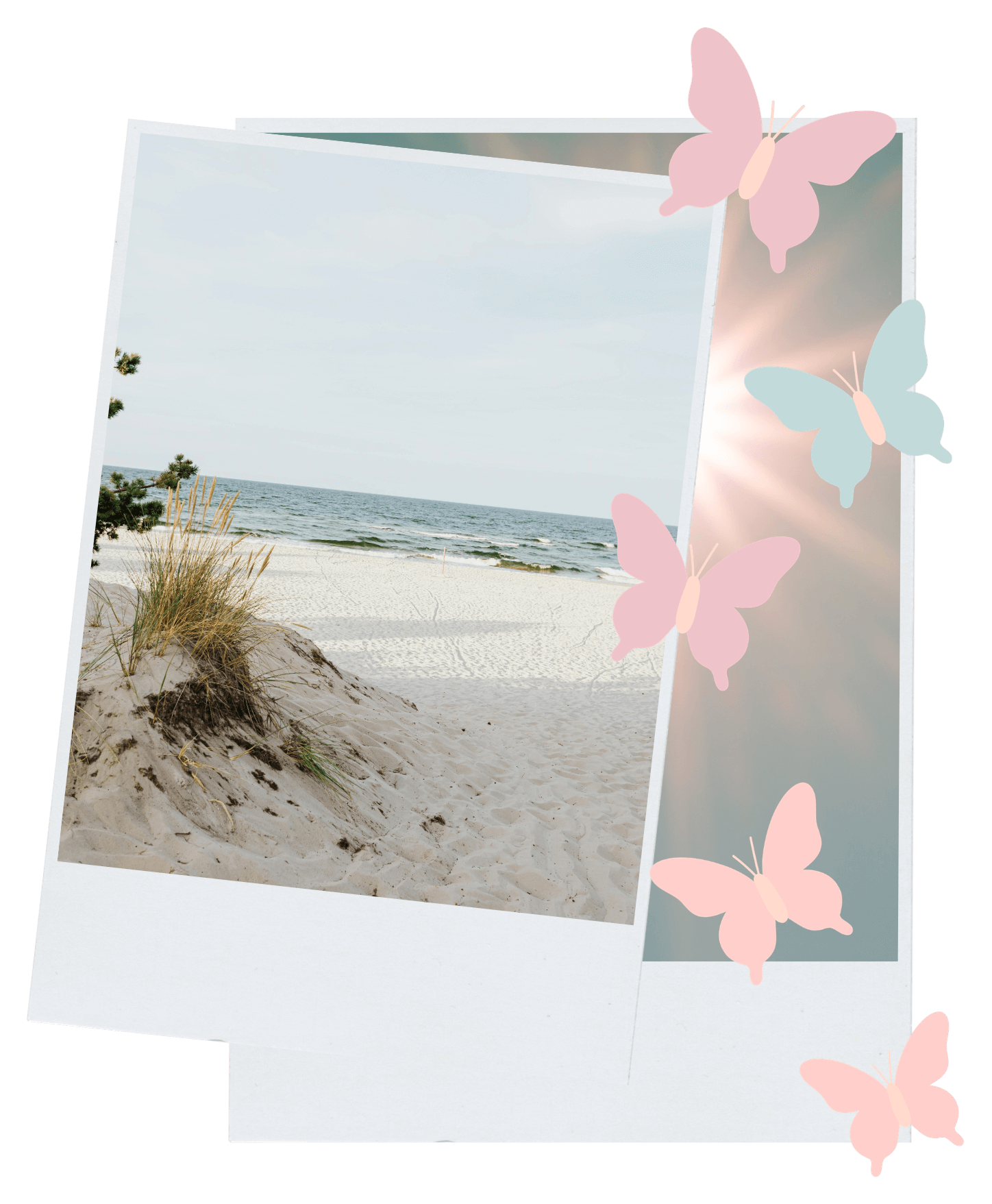 Polaroid of photos of the beach with butterfly overlays