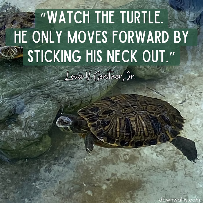 "Watch the turtle. He only moves forward by sticking his neck out." - Louis V. Gerstner, Jr.