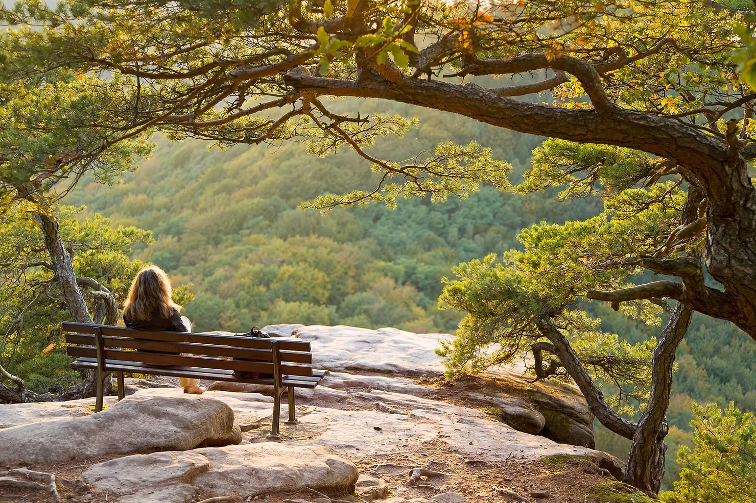 Woman sitting on the bench